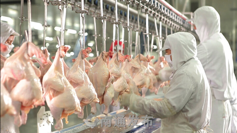 1650351946122086.png 1650351946122086.png